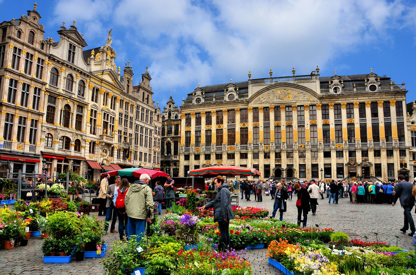 Belgium-Brussels-Grand-Place-Flower-Market-Guildhalls
