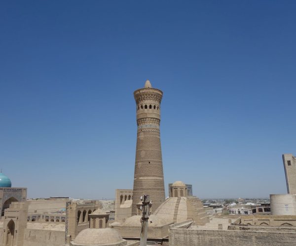 Bukhara roof